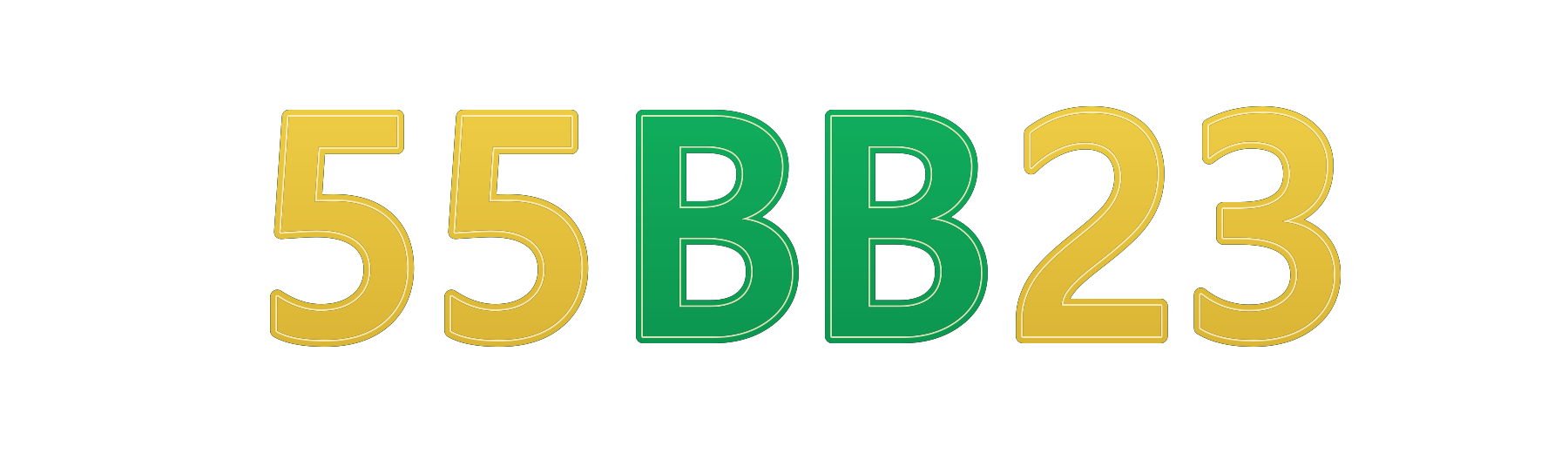 55bb23